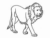 Lion Coloring Pages Cub Animals Preschool Printable Colouring Kids Getcolorings Other Color Animal Choose Board sketch template