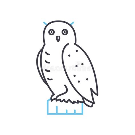 snowy owl  icon outline symbol vector illustration concept sign