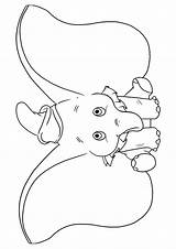 Disegni Elefanti Elefante Pianetabambini Coloring Dumbo Altri Versione Singolarmente sketch template