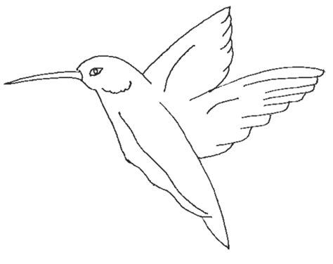 parrot flying bird coloring pages