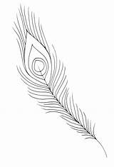 Feather Coloring Peacock Pages Eagle Drawing Outline Feathers Bird Turkey Line Easy Color Printable Getcolorings Drawn Getdrawings Template Paintingvalley Colo sketch template