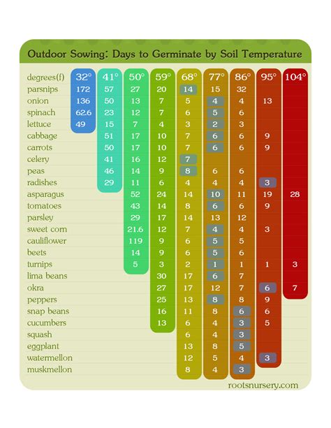 plant vegetable seeds  chart