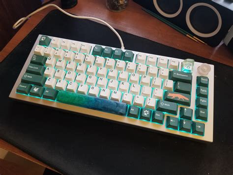 custom keyboard mechanicalkeyboards