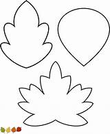 Leaf Trace Pattern Popular Coloring sketch template