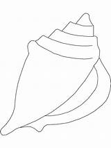 Seashell Shells sketch template