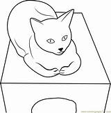 Cat Box Coloring Sitting Pages Color Kids Printable Coloringpages101 sketch template