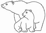 Urso Desenho Ursos Gostar Ainda Pode Estão Faça Brincadeiras Fazer Grandes sketch template