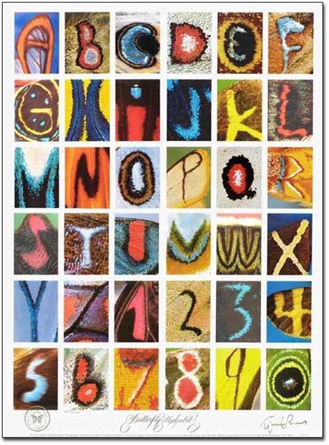 butterfly alphabet alphabetology pinterest