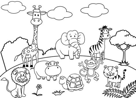 beautiful zoo coloring pages  children coloring pages