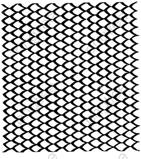 fish scales drawing    clipartmag