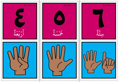 belajar bahasa arab kenali nombor  hingga  bahasa arab kitpramenulis
