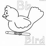 Bird Coloring Pages Cartoon Detailed Kids Printable Drawing Simple Red Winter Outline Getcolorings Eye Getdrawings Adults Color Cage Girls Animal sketch template