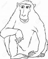 Coloring Primate Macaque Designlooter Monkey Animal Illustration Cartoon Vector Funny Book Stock sketch template