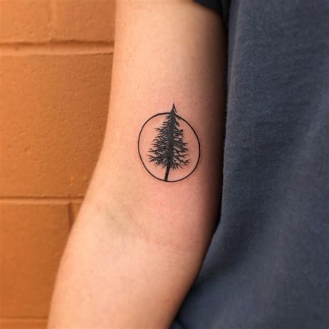 pine tree tattoos designs ideas  meaning tattoos