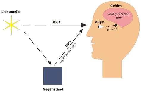 der sehvorgang im auge orange sinne