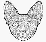 Sphynx Coloring Cat 200px 74kb sketch template