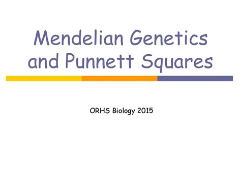 Mendelian Genetics And Punnett Squares Ppt Download