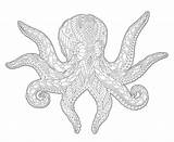 Octopus Stylized sketch template