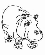 Hippo Coloring Awesome Hippopotamus Animals Netart Drawing Pages Getdrawings sketch template