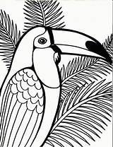 Parrot Toucan Colorier Getdrawings Colornimbus sketch template