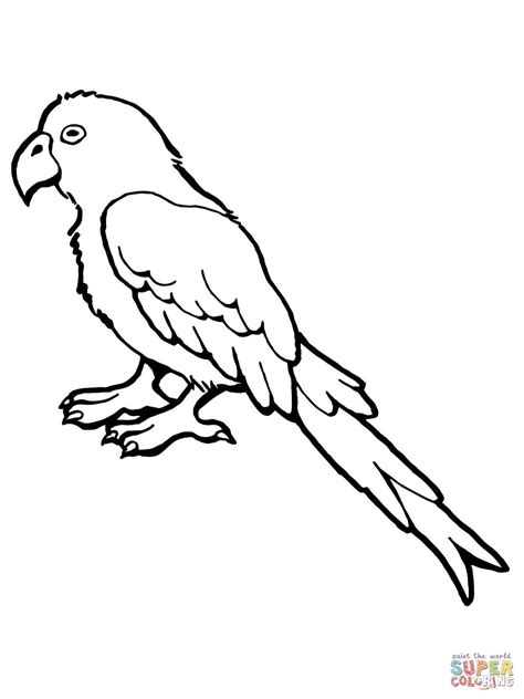 super coloring pages birds coloring pages ideas