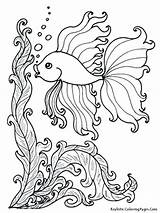Fish Betta Drawing Amusing Coloring Getdrawings Pages sketch template