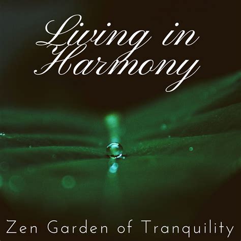 apple  spa essentialsliving  harmony zen garden