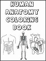 Coloring Pages Human Organs Body Printable Color Getcolorings Print sketch template