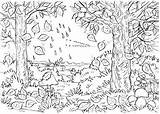 Coloriage Automne Adults Ausmalbilder Imprimer Paysage Sur Herbst Autunno Wald Laguerche Paesaggio Cahier Herbstwald Dessin Paesaggi Facile Colorer Forêt Lumaca sketch template