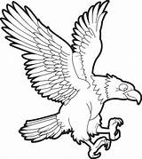 Sketsa Burung Elang Garuda Hantu sketch template