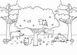 Waldtiere Paisaje Herbst Im Pintar Ausmalen Animalitos Ausmalbild Ausdrucken Ninos Otoño Malen Bildnachweise Projekte Zukunftige sketch template