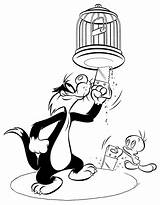 Sylvester Tweety Looney Tunes Frajola Titi Fazendo Armadilha Dessiner Tudodesenhos Uniquecoloringpages Cartoonbucket Primanyc Dentistmitcham sketch template