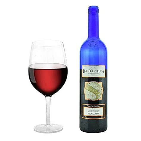 Kovot Giant Wine Glass Holds A Whole Bottle Of Wine The