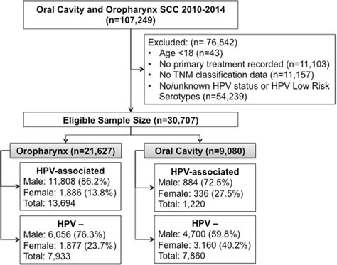 sex differences in patients with high risk hpv associated