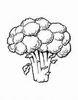 Broccoli Brilliant sketch template
