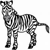 Zebra Coloring Pages Drawing Printable Cartoon Head Sheet Animals Face Realistic Zebras Kids Baby Book Print Color Getcolorings Clipartmag Desktop sketch template