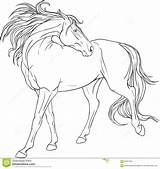 Pintar Cavalos Coloriage Cheval Cavalo Jogos Malbuch Pferd Sponsored Imagem Coloringcity Realistic sketch template