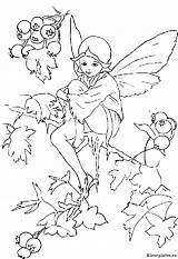 Kleurplaten Kleurplaat Elfen Ausmalbild Elfjes Coloring Elfe Kerst Engelen Feeen Fairies Elven Engel Hadas Ausmalen Elfje Malvorlagen Malvorlage Fairy Beowulf sketch template