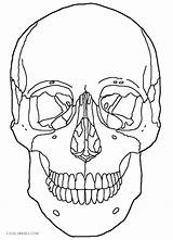 Skull Red Coloring Pages Printable Getcolorings sketch template