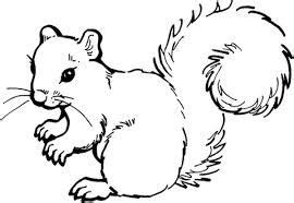afbeeldingsresultaat voor kleurplaat eekhoorn squirrel coloring page