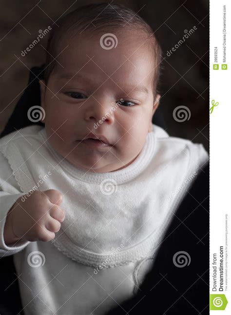 baby boy hand held stock photo image  cute life incubator