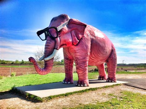 worlds largest pink elephant statue world record set  deforest wisconsin