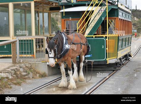 horse drawn tram  res stock photography  images alamy