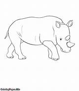 Coloring Rhinoceros sketch template
