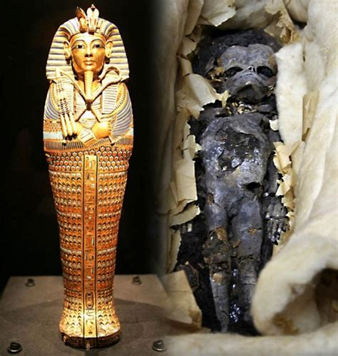 Foetuses Found In King Tutankhamun S Tomb Were His Twin