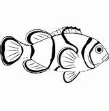 Fish Coloring Clown Pages Sea Animal Drawing Saltwater Printable Getdrawings Getcolorings Color Realistic Colouring Print Goldfish Fancy Buy sketch template