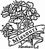 Coloring State Pages Missouri Flowers Kids Flower sketch template