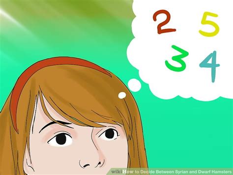 how to decide between syrian and dwarf hamsters 7 steps