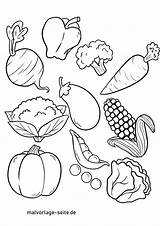 Gemüse Ausmalbild Malvorlage Obst Ausmalen Verdure Mewarnai Sayuran Disegno Zum Hund Gemuse Kinderbilder Trinken sketch template
