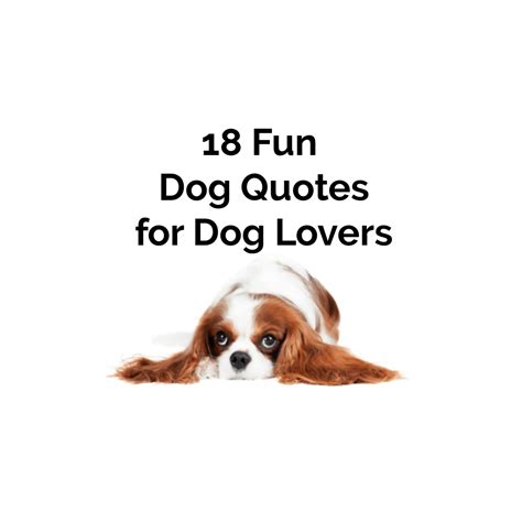 fun dog quotes  puppy quotes  dog  puppy lovers